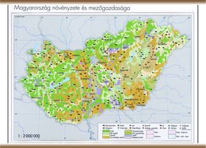 magyarország ásványkincsei térkép KELET TANÉRT KFT magyarország ásványkincsei térkép